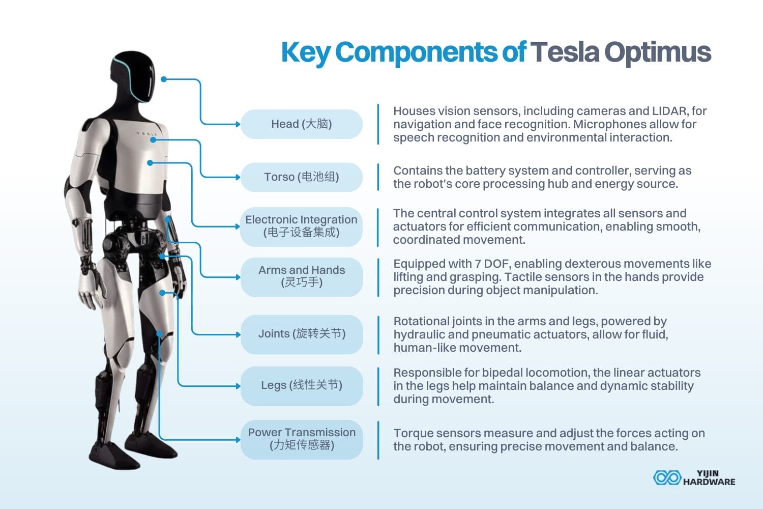 key components of tesla optimus - humanoid robot body parts
